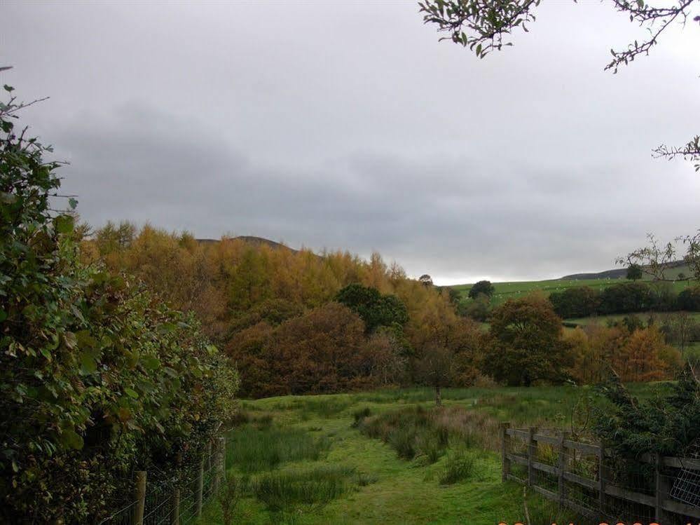 The Old School House Hotel Llanbrynmair ภายนอก รูปภาพ